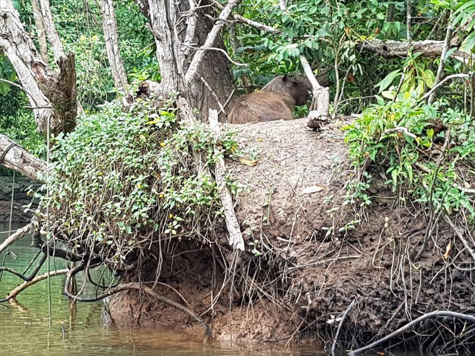 Pousada Morada Das Ilhas โบยกูกันกา ภายนอก รูปภาพ